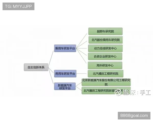 恩佐的战术价值与自主创造能力：体系依赖度深度解析